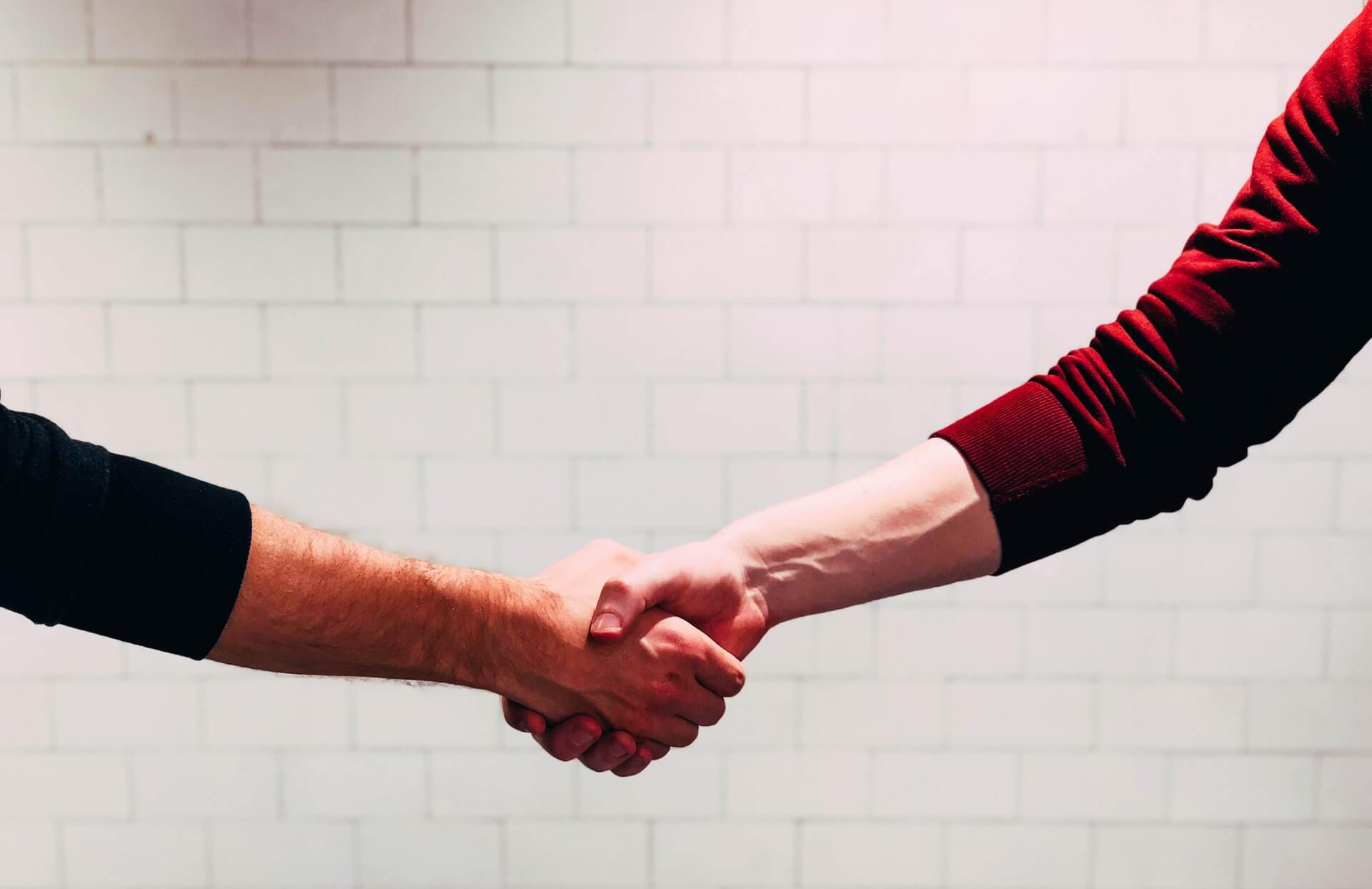 Two people shaking hands (stock photo)